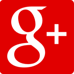 Google+ icon